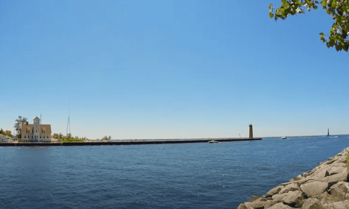 marketing, publishing trends, publishing distribution, content creator, marketing trends 2026