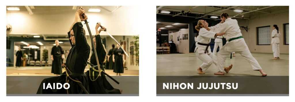 Iaido, Nihon Jujutsu