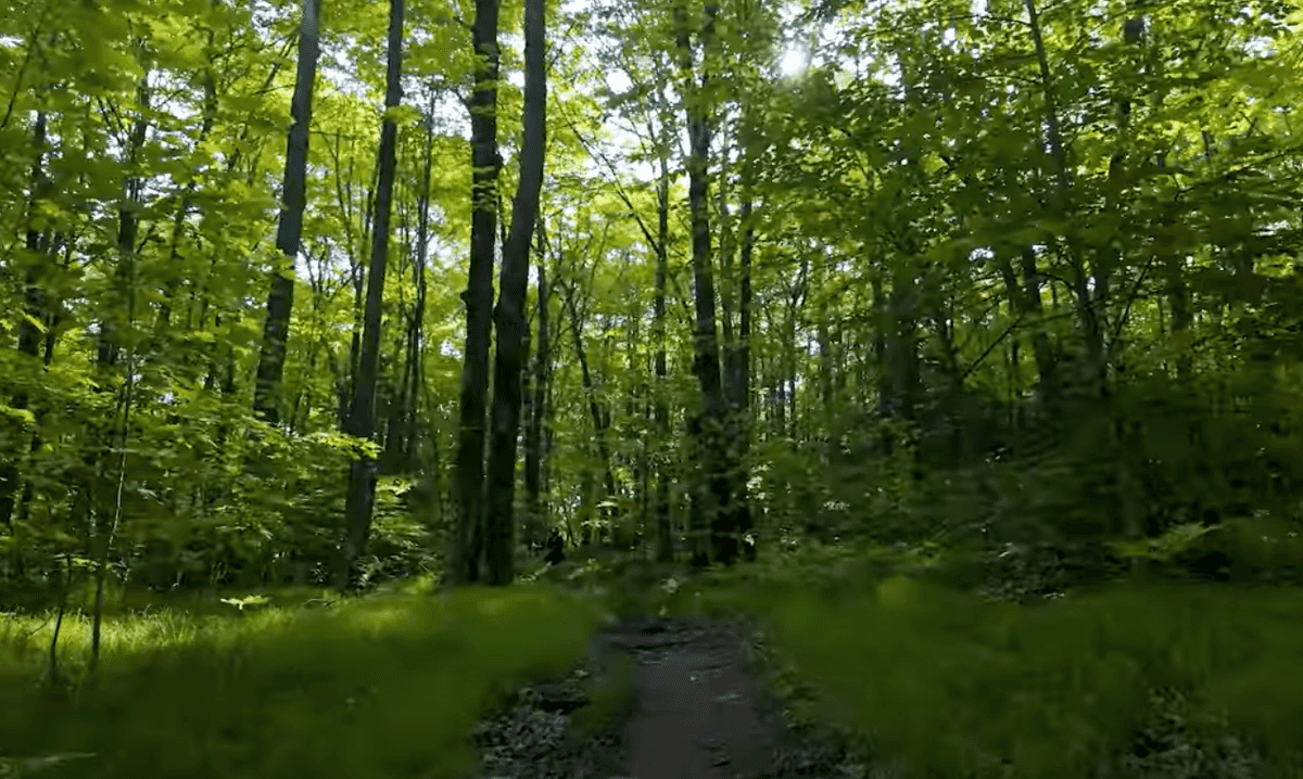 Michigan trails, North Country Trail, Michigan nature hikes, northern Michigan parks, best northern vacation spots, best northern bike trails