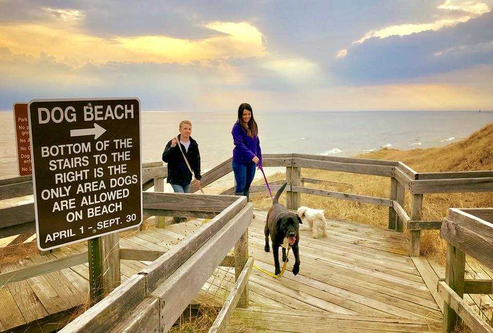 Work Hard, Play with Your Pup: Your Muskegon Workcation at Silversides House